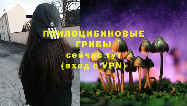 стафф Алексеевка