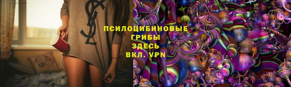 амф Алексин