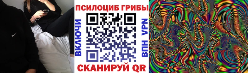 Псилоцибиновые грибы мухоморы  наркота  Кремёнки 